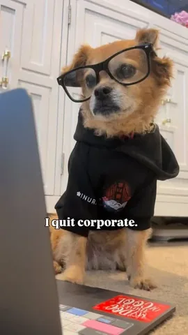 Mushu the Dog Instagram post thumbnail