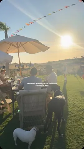 sol.and.pepper Instagram post about Zuhause