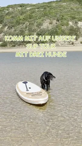 sol.and.pepper Instagram post about Abschied von einem Haustier