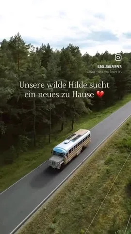 sol.and.pepper Instagram post about Verkauf eines ausgebauten Schulbusses