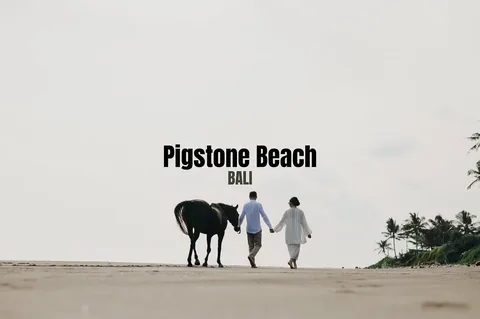 ssjourneystyle Instagram post about Bali travel imagery