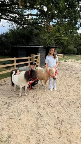 staceysolomon Instagram post about Animal fostering