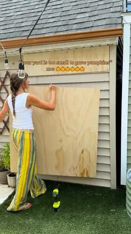 steffy Instagram post about Pumpkin gardening and decor