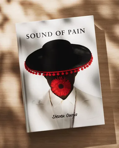 stevenonoja Instagram post about Book launch