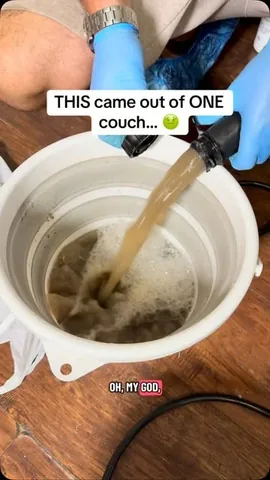 suitsheelscurves Instagram post about Professional sofa cleaning