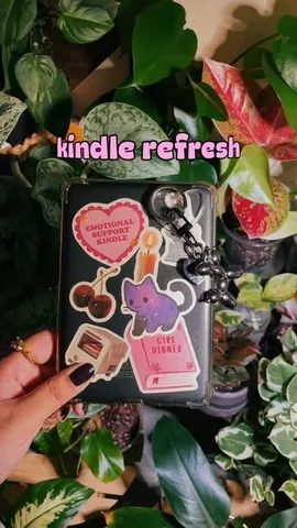 sumaiyya.books Instagram post about Kindle customization