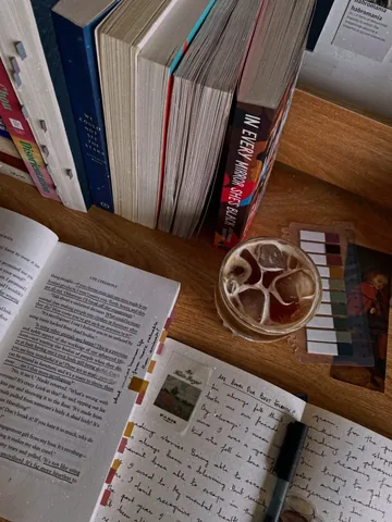 sumaiyya.books Instagram post about Book annotation