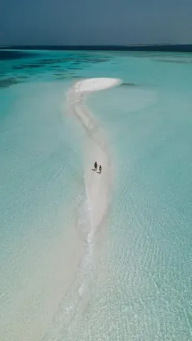 sunchasingtravelers Instagram post about Nature and wildlife travel inspiration