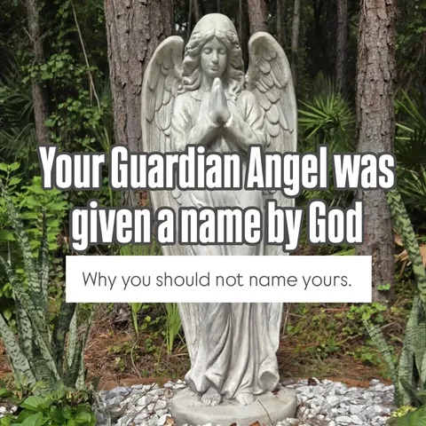 sweetcatholiclife Instagram post about Guardian angels