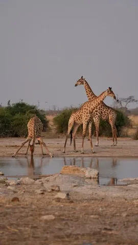 swissvoyagers Instagram post about Southern Africa travel memories