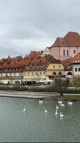 swissvoyagers Instagram post about Slovenia winter itinerary