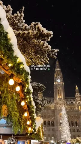 takemyhearteverywhere Instagram post about Vienna Christmas travel guide
