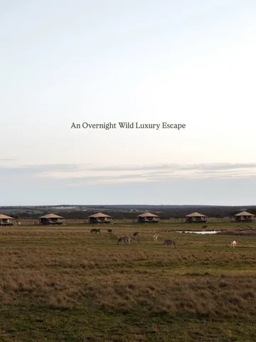 takeus_withyou Instagram post about Luxury safari accommodation