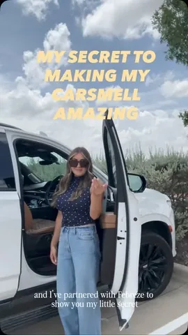 taralynnn Instagram post about Car air freshener