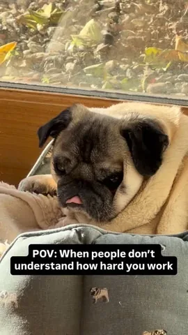 thebatmanpug Instagram post about Busy lifestyle