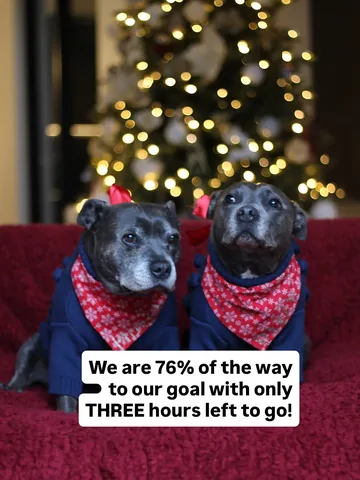 the_blueboys Instagram post about Donation appeal