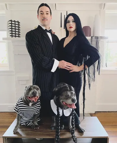 the_blueboys Instagram post about Pet memories and grief