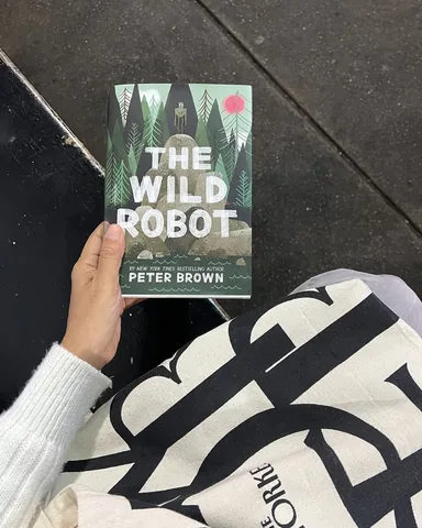 thebooksatchel Instagram post about Book recommendation