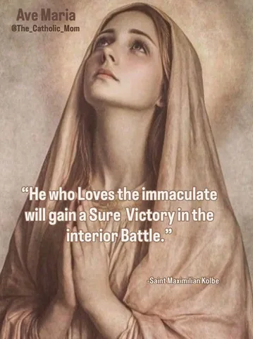 the_catholic_mom Instagram post about Prayer to the Virgin Mary