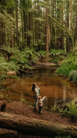 thecommonwanderer Instagram post about Otways road trip