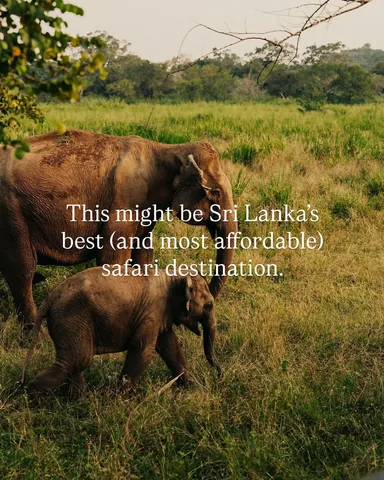 thecommonwanderer Instagram post about Hurulu Eco Park safari