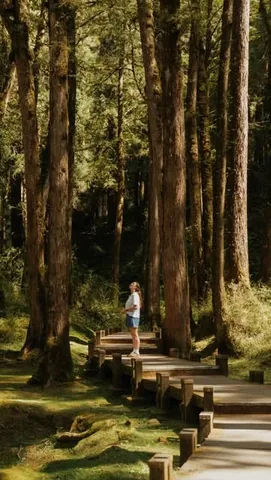 thecommonwanderer Instagram post about Alishan destination overview