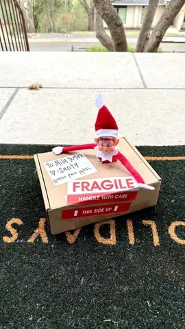 thecraftblog Instagram post about Elf on the Shelf ideas