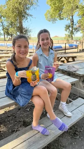 thecraftblog Instagram post about Family farm outing