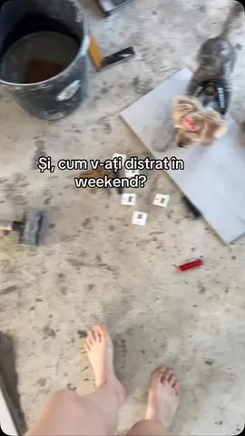 thecrainics.adventures Instagram post about Distracție