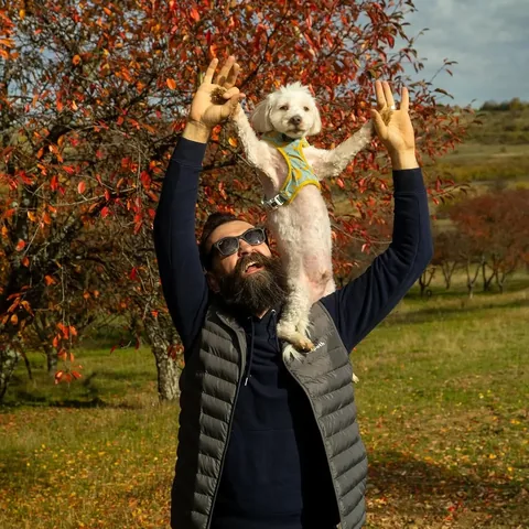 thecrainics.adventures Instagram post about Alegeri de viață