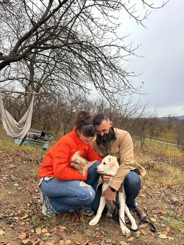thecrainics.adventures Instagram post about Adopția animalelor