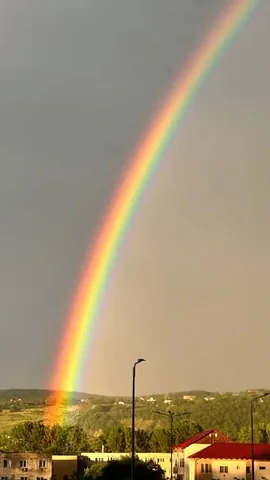 thecrainics.adventures Instagram post about Afecțiune