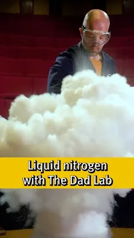 thedadlab Instagram post about Liquid nitrogen demonstrations