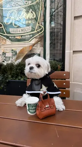 the_doggie_days Instagram post about Valentine and dog companionship