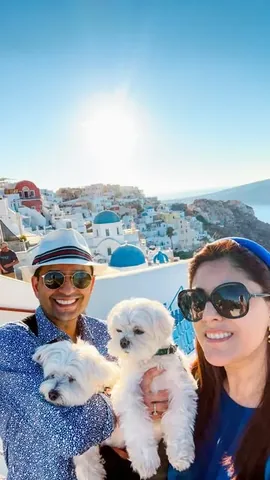 the_doggie_days Instagram post about Dog swimming in Greece