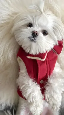 Dior & Obi-Wan Instagram post thumbnail