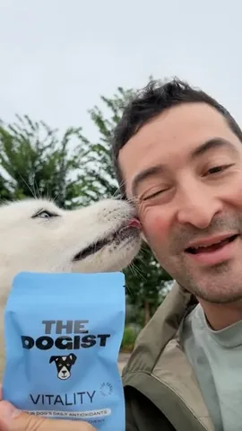 thedogist Instagram post about Vitality supplement launch