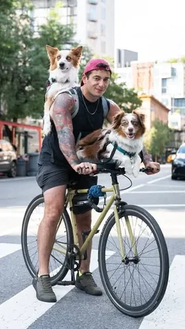thedogist Instagram post about Multi dog owner story