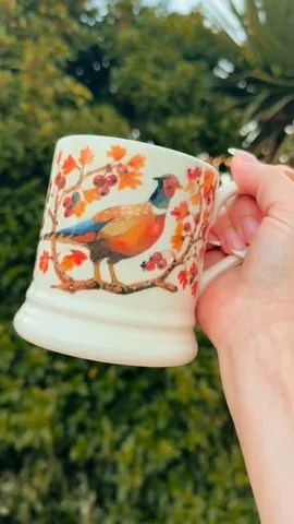 thefaithlady Instagram post about Emma Bridgewater mug