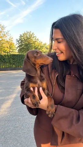 the__glow__girl Instagram post about Pet adoption and companionship