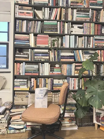 thehalcyondaysofsummer Instagram post about The Land in Winter reading update