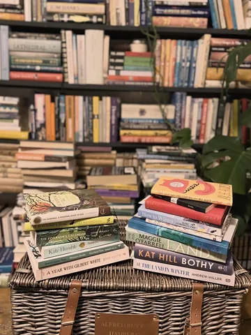 thehalcyondaysofsummer Instagram post about January reading list