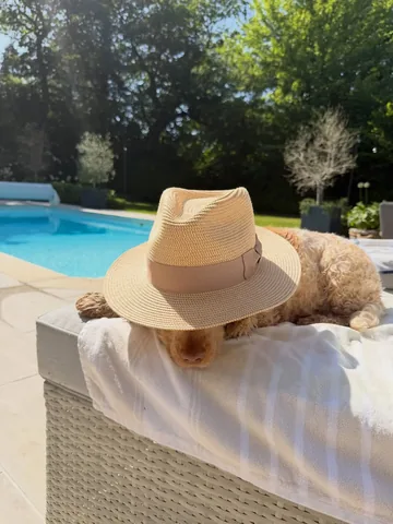 thehousebuild Instagram post about Bank holiday recap