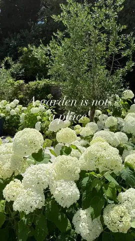 thehousebuild Instagram post about Garden life