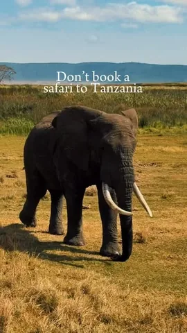 thehousebuild Instagram post about African travel