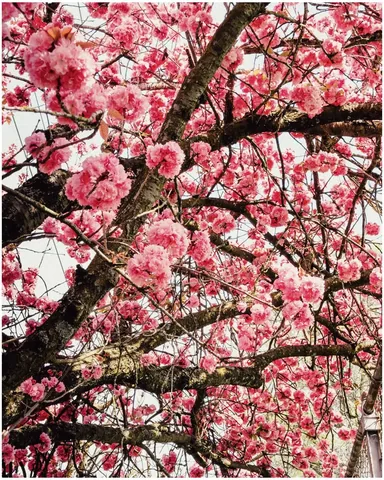 thejobrien Instagram post about Travel