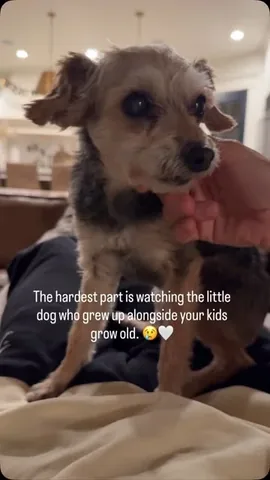 The LeRoys Instagram post thumbnail