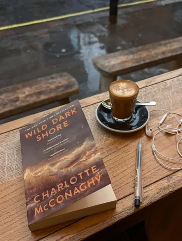 thelostlibrary Instagram post about Wild Dark Shore review