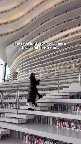 thelosttwo Instagram post about Tianjin Binhai Library