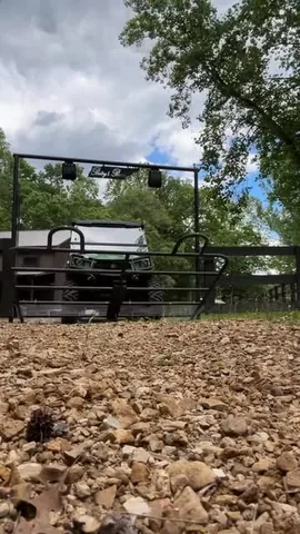 Gentry Mikesell Instagram post thumbnail